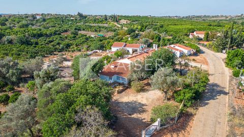 Cette villa rénovée de style rustique avec vue sur la campagne est située dans une zone rurale calme, à 15 minutes de la ville historique et paisible de Silves et à 12 minutes des terrains de golf. Les plages et parcs aquatiques sont à 20 minutes. La...