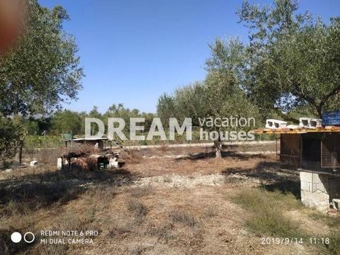 Description En vente Lopin de terre, Gaitani, 6.873 m2, Dans lot/avec jardin 6872,58 m2, Prix: 180.000€ Description detaillée Terrain d'une surface de 6 872 m² à Gaitani près de la ville de Zakynthos, idéal pour des espaces de stockage et logistics. ...