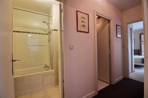 photo no. 11
