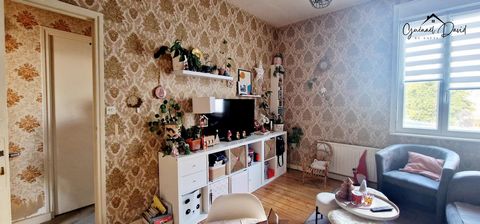 photo no. 6