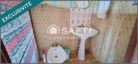 photo no. 12