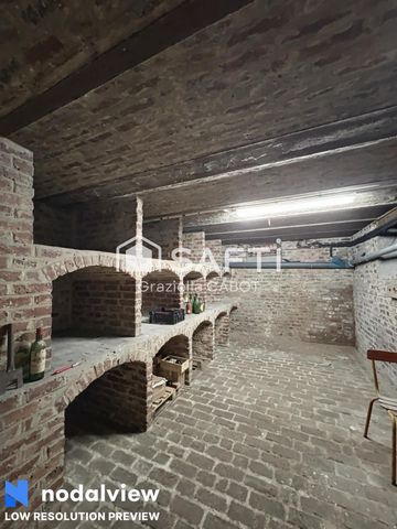 photo no. 8