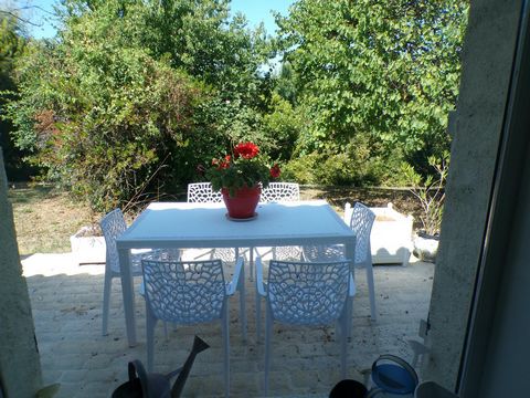 photo no. 12
