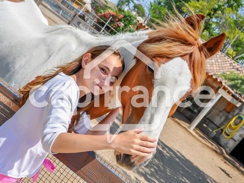 GARD(30) À VENDRE Fonds de Commerce de Promenade à Cheval à proximité de la mer en petite Camargue 10 000 m 2