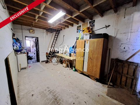photo no. 10