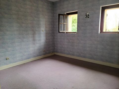 photo no. 10