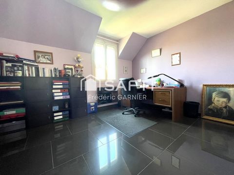photo no. 8