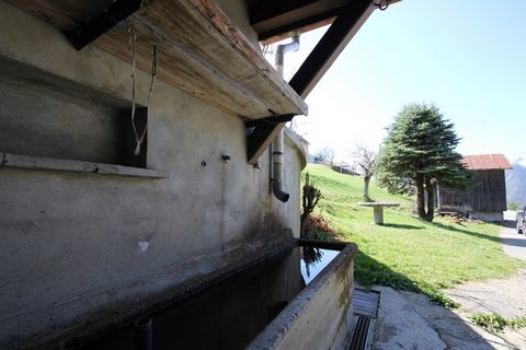 photo no. 2