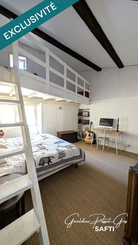 photo no. 11