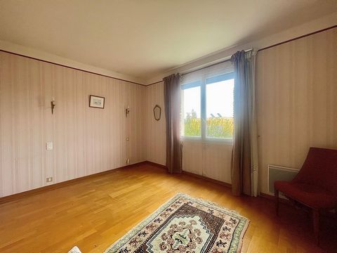 photo no. 14