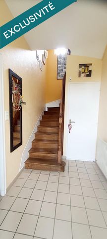 photo no. 8