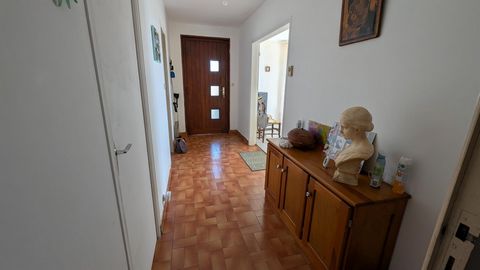 photo no. 2