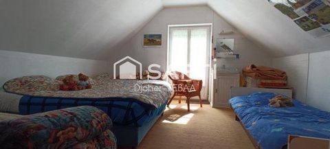 photo no. 8