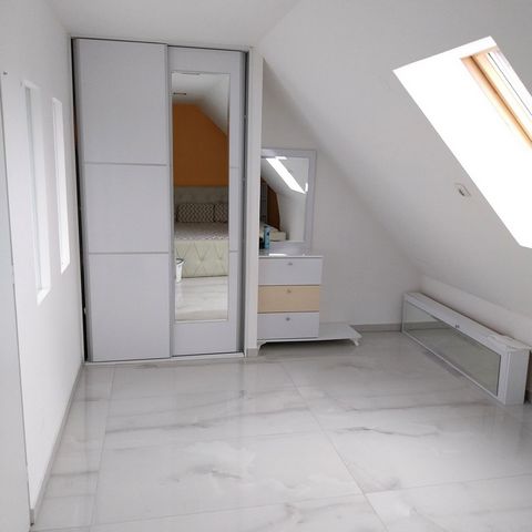 photo no. 16