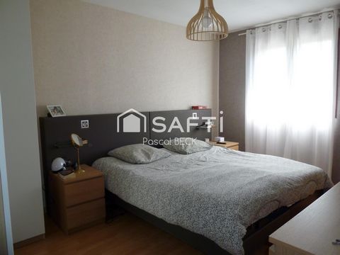 photo no. 18