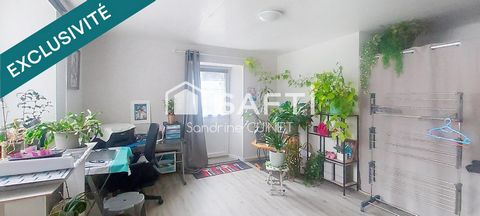 photo no. 11