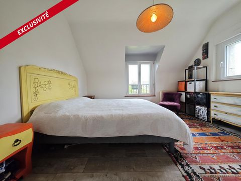 photo no. 10