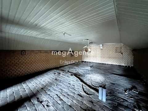 photo no. 12