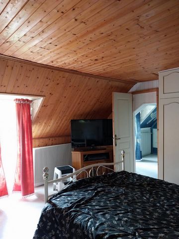 photo no. 11