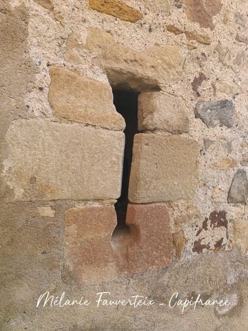 photo no. 2
