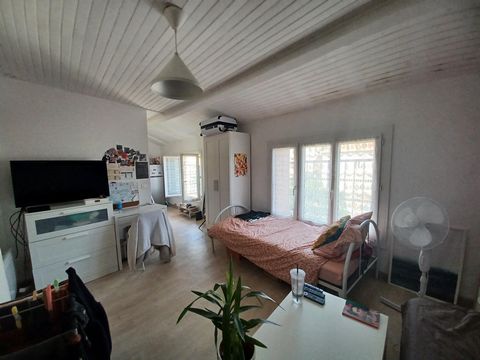 photo no. 5
