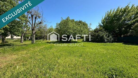 photo no. 13