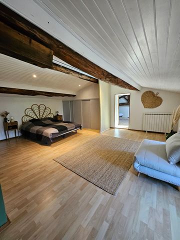 photo no. 11