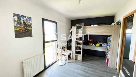 photo no. 8