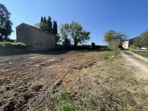 photo no. 2