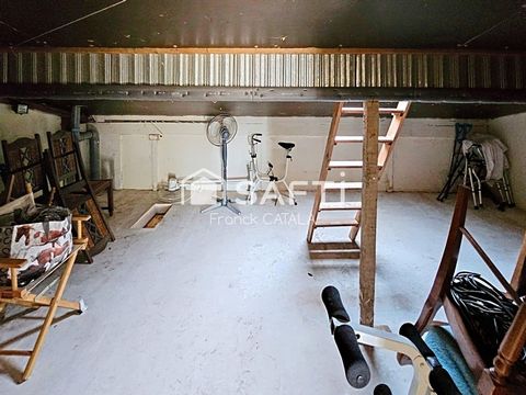 photo no. 11