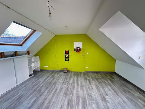 photo no. 6