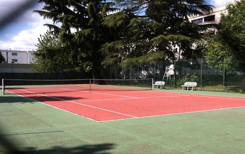 photo no. 11