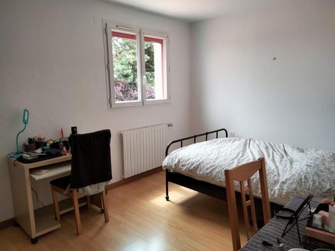 photo no. 8