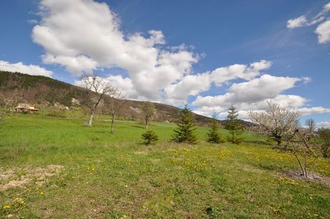 photo no. 2