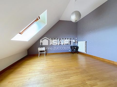 photo no. 11