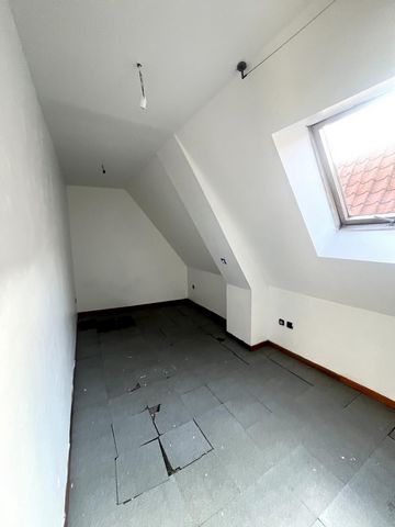 photo no. 8