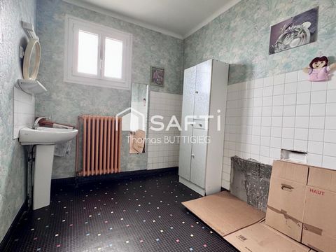 photo no. 6