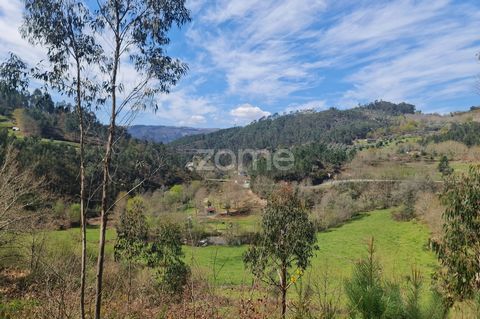 Identificação do imóvel: ZMPT575665 O terreno apresenta uma área ampla, com 8505 m2 e características naturais, proporcionando um ambiente agradável e sossegado. Ideal para quem busca um local mais isolado, mas com fácil acesso. Procura sossego e a h...