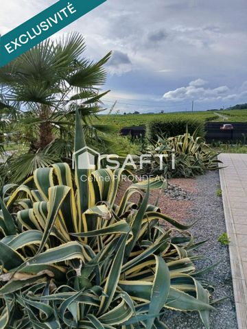 photo no. 14