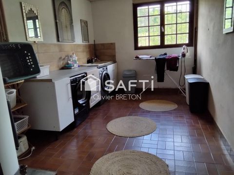 photo no. 11