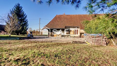 Maison à conforter, T3, sur 6178 m² de terrain clos