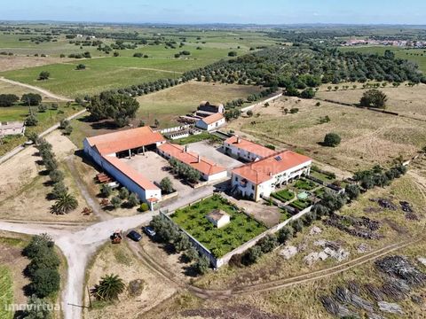 Conjunto de duas herdades contiguas que perfazem um total de 938 ha em Reguengos de Monsaraz., no Alentejo, a uma hora e quarenta minutos de Lisboa e a trinta minutos do centro de Évora. A Herdade principal é propriedade de média a grande dimensão, n...