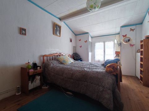 photo no. 6