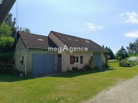photo no. 7