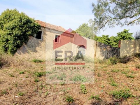 13.600sqm land, of which about 8.500sqm inserted in urbanizable meshn with a maximum construction index of 0.45. Excellent location, next to the castle of Óbidos. *The information provided is for information purposes only, not binding, and does not e...