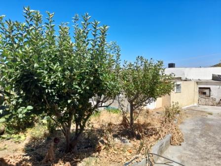 Dafni-Makrigialos Maison avec jardin à 15km de la mer. La maison est située sur un terrain de 165m2. La maison est de 75m2 composée de 5 pièces et a besoin de finitions. Le jardin fait 25m2 et possède une variété d'arbres fruitiers tels que des pommi...