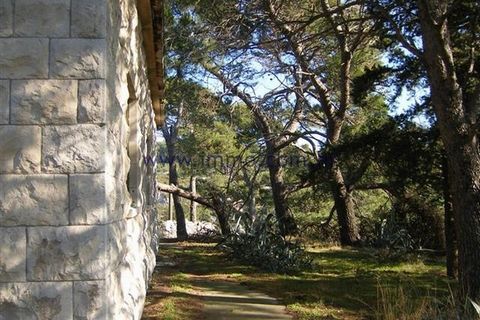 Two stone houses of 150 sq.m. and 50 sq.m. for sale, situated in a pine wood only 10 m from the sea. These houses stand on the plot of 5591 sq.m. and require renovation. The property features two access roads and offers fantastic sea view. Complete d...