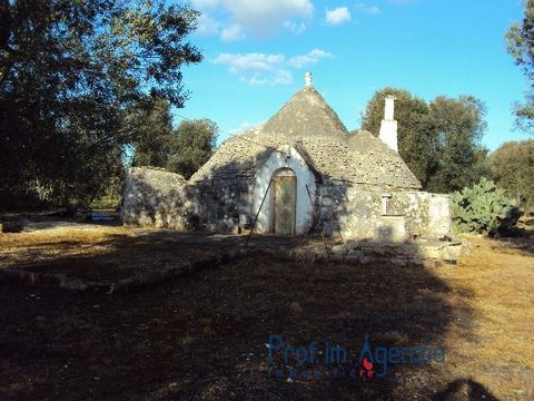 3 coned trullo, in good structural condition, composed of 2 rooms, inside fireplace and outside wood oven, water tank and opposite forecourt. Not far from the built-up centre. Land cultivated with olive grove and fruit trees. Approved project to exte...