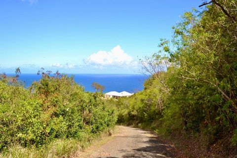 See the World from this beautiful Crested lot in a gated community . You will love the 365 degree view for your eyes to feast upon and the most gorgeous building site off of a private paved road. From Ham's Bluff to South Shore, to the mountains of S...