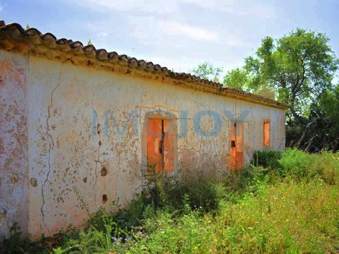 Ferme avec ruine, dans le conseil de Silves, dans un quartier calme, près de la route principale de Silves à l'Algoz. Avec projet en cours d'approbation dans la municipalité de Silves. Cette ferme a des oliviers, des caroubiers et des amandiers et es...